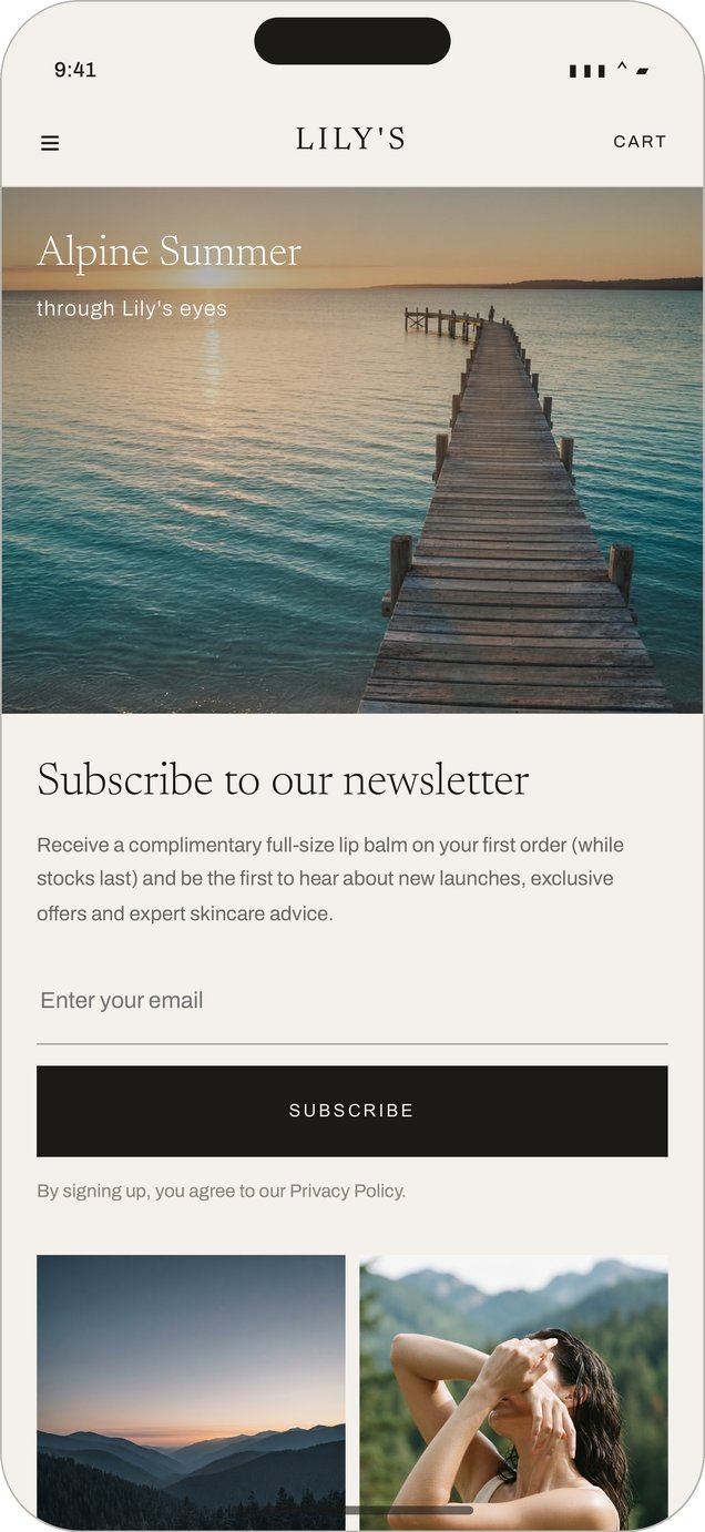 Lily's newsletter and journal